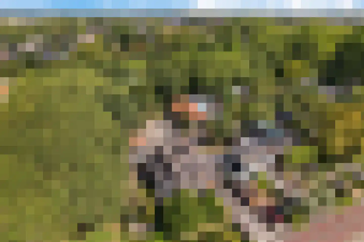 Voorweg 124 Zoetermeer thumbnail 72