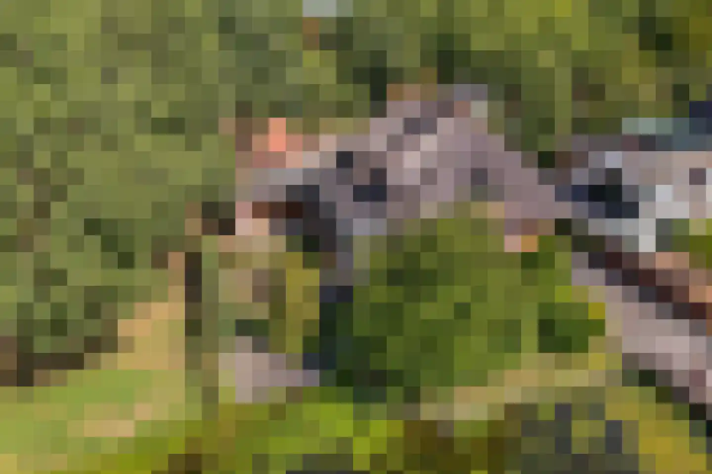 Voorweg 124 Zoetermeer thumbnail 74