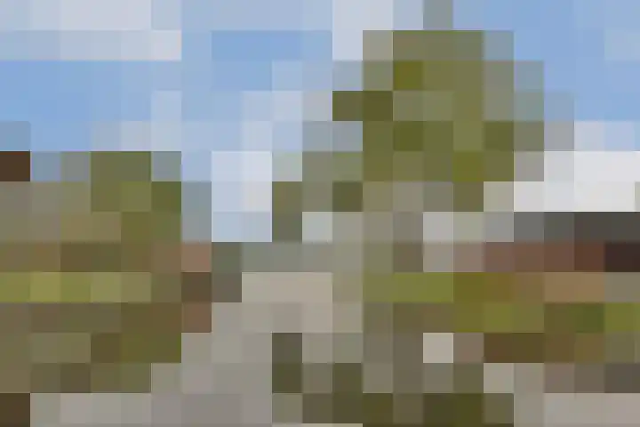 Voorweg 125 Noorden thumbnail 8