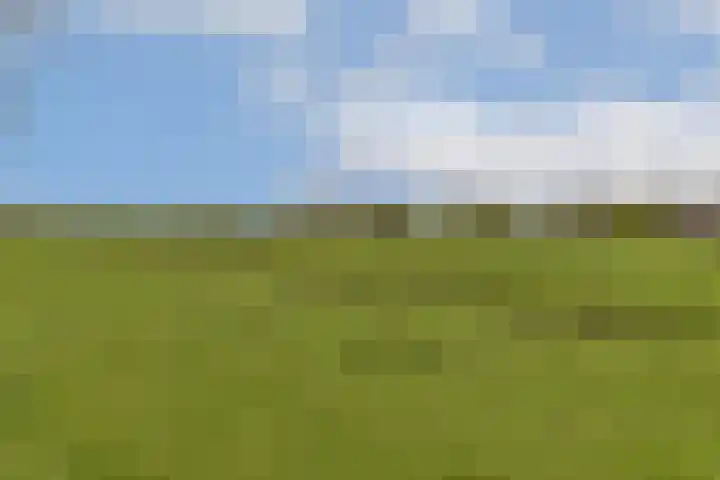 Voorweg 125 Noorden thumbnail 9