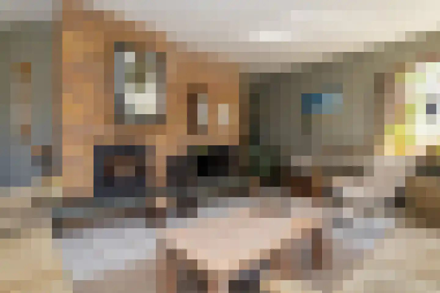Voorweg 14 A Hazerswoude-Dorp thumbnail 14