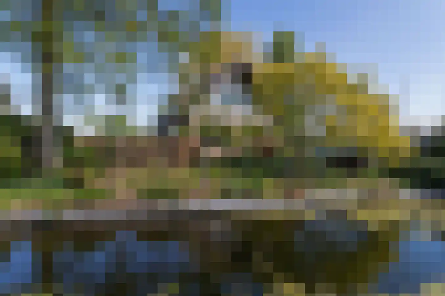 Voorweg 14 A Hazerswoude-Dorp foto 2