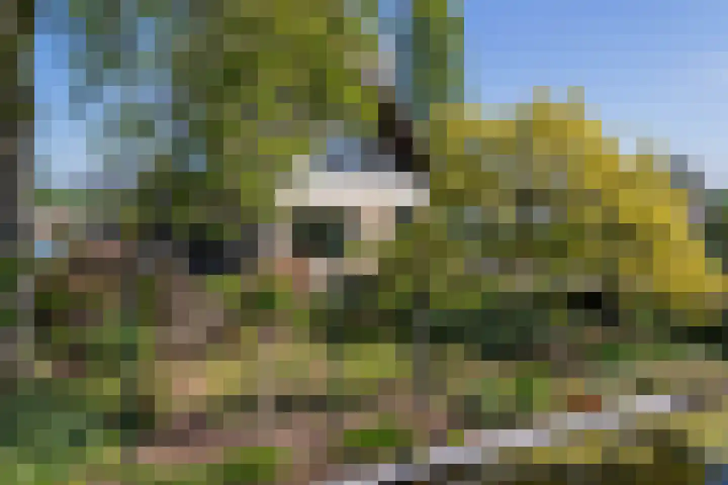 Voorweg 14 A Hazerswoude-Dorp foto 3