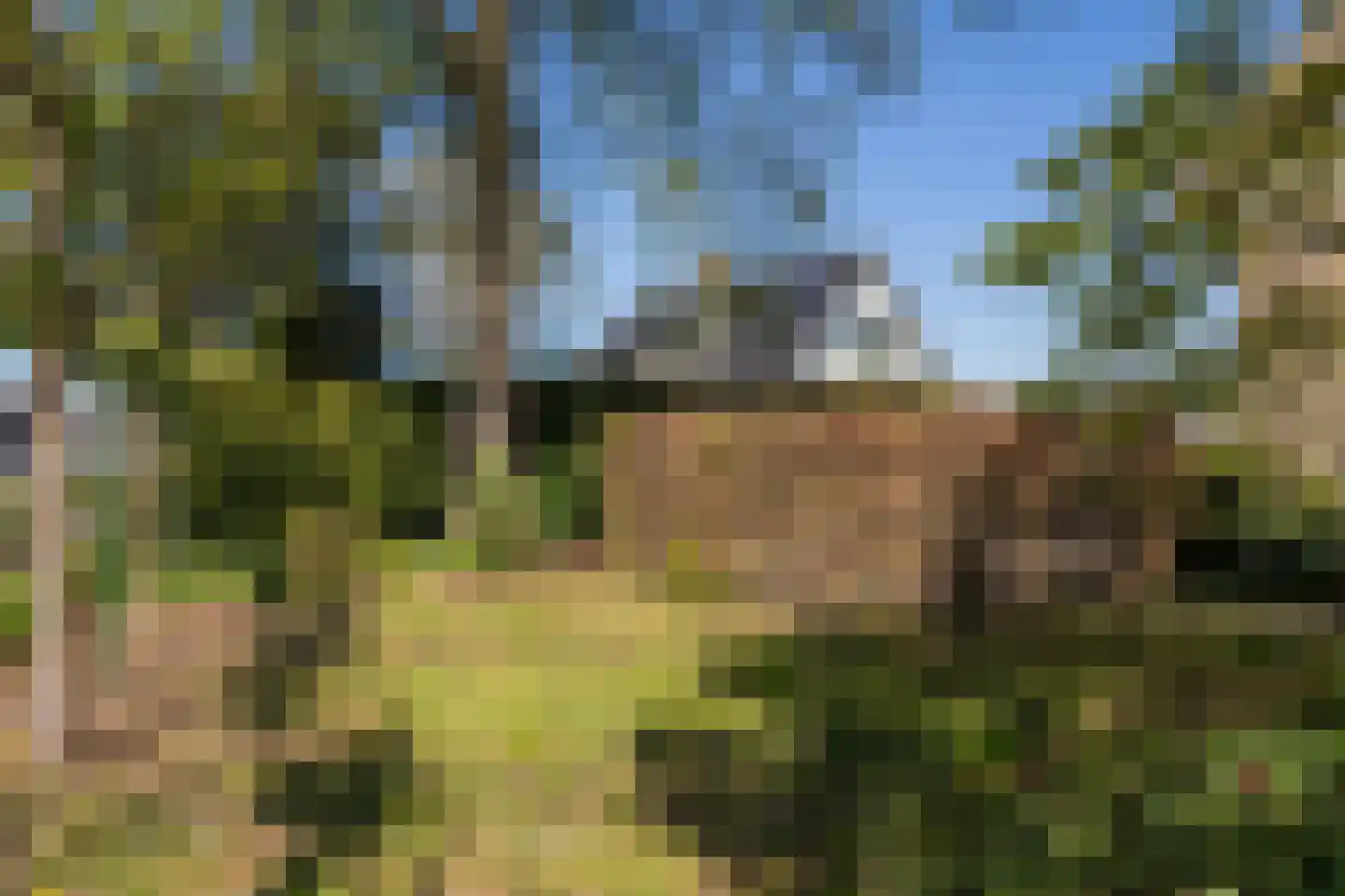 Voorweg 14 A Hazerswoude-Dorp thumbnail 44