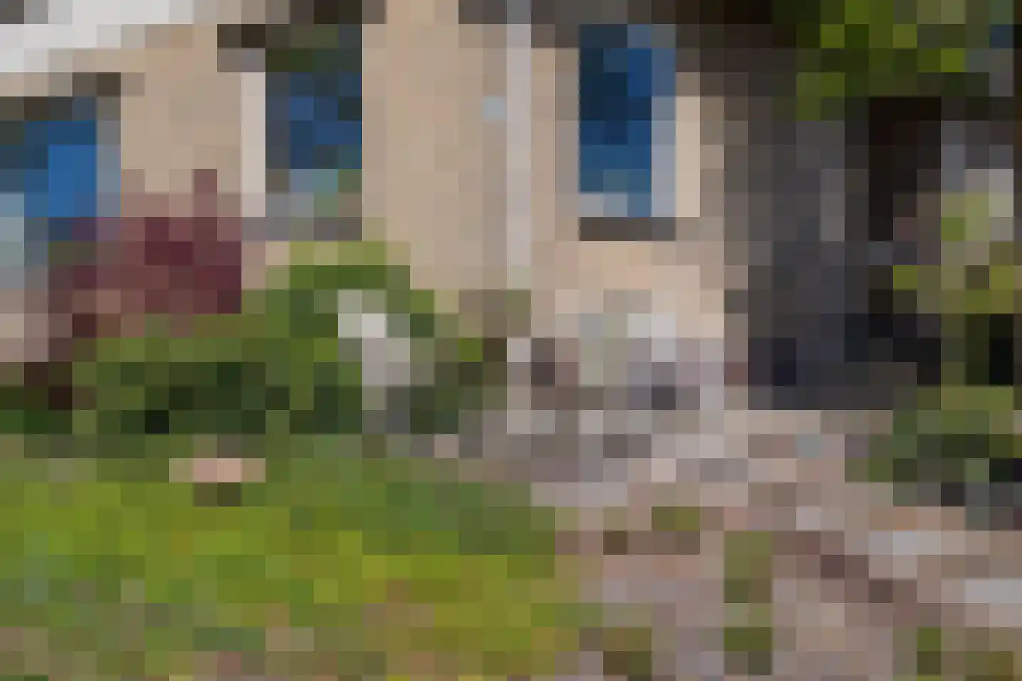 Voorweg 14 A Hazerswoude-Dorp thumbnail 8