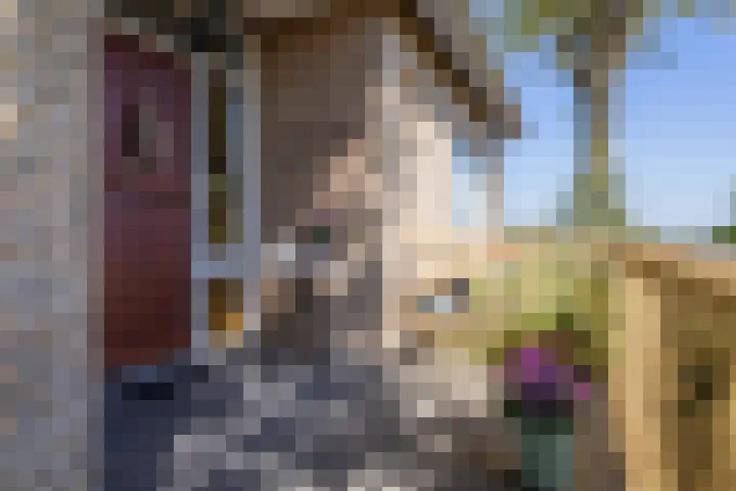 Voorweg 14 A Hazerswoude-Dorp thumbnail 9