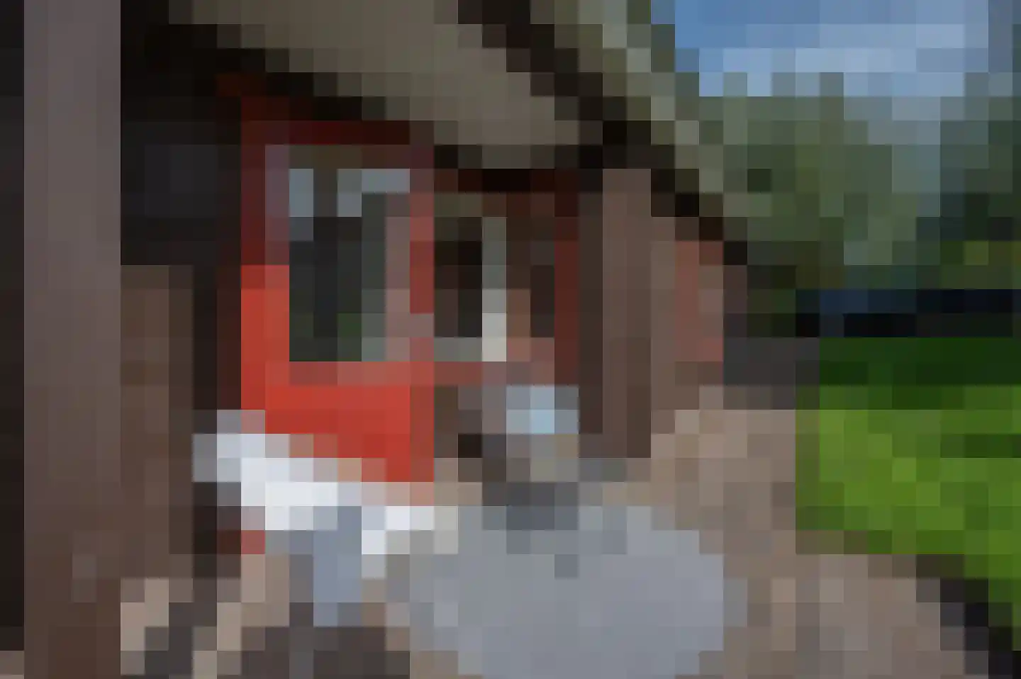 Voorweg 144 Zoetermeer thumbnail 12