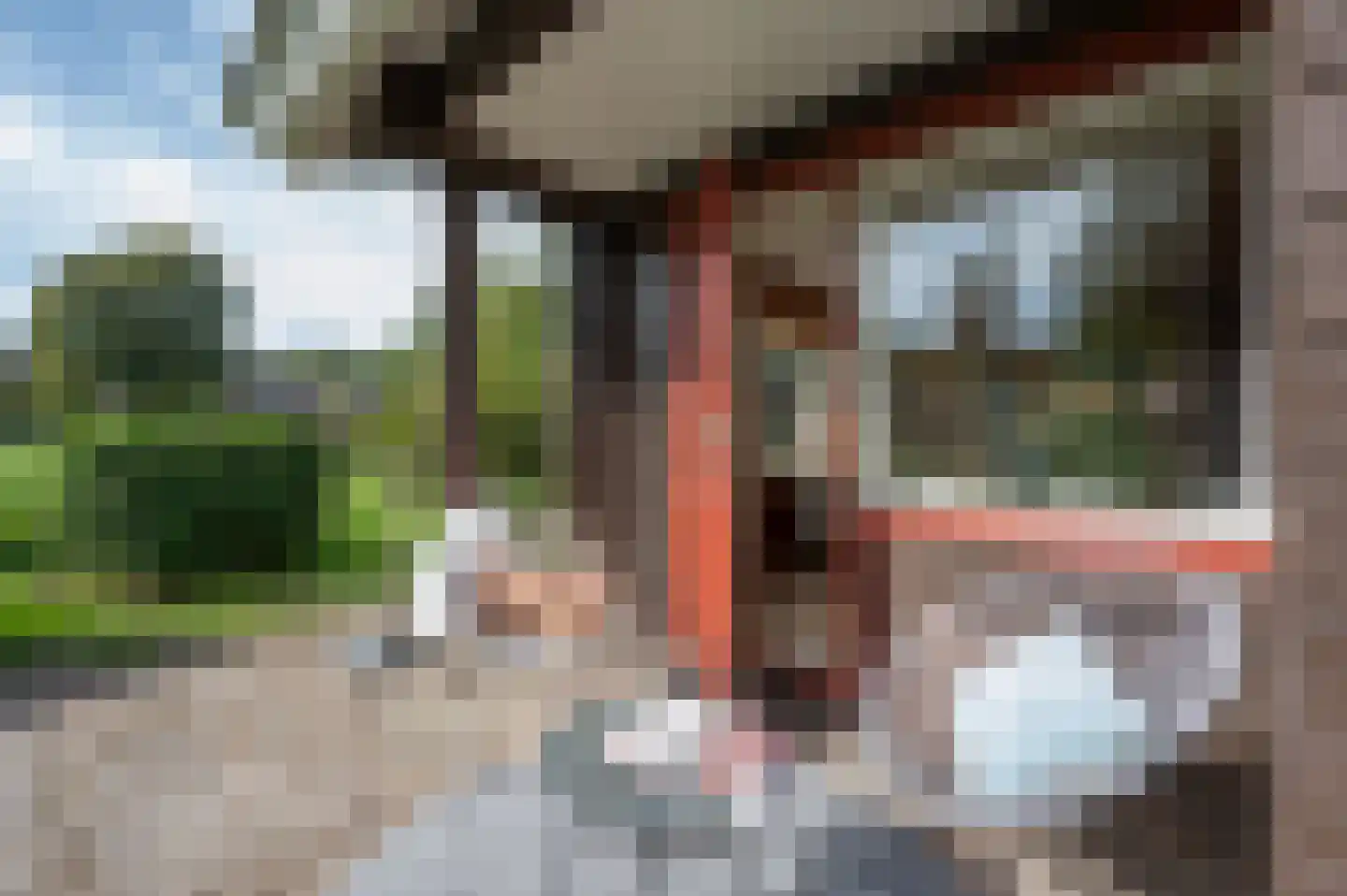 Voorweg 144 Zoetermeer thumbnail 13