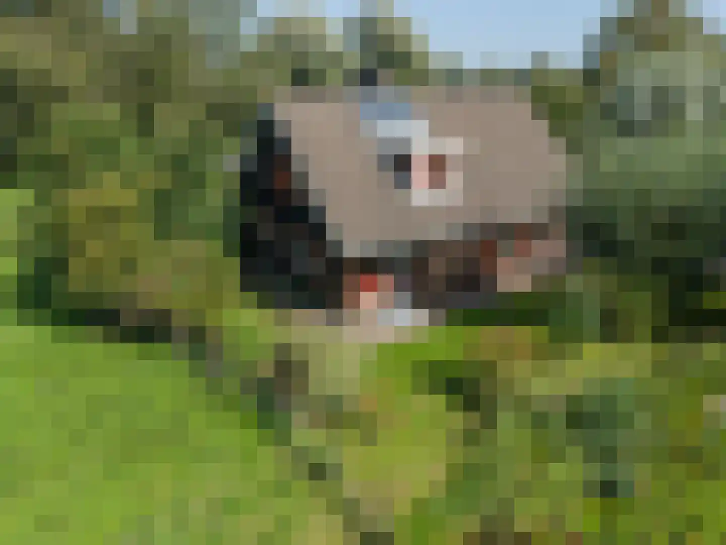 Voorweg 144 Zoetermeer thumbnail 15