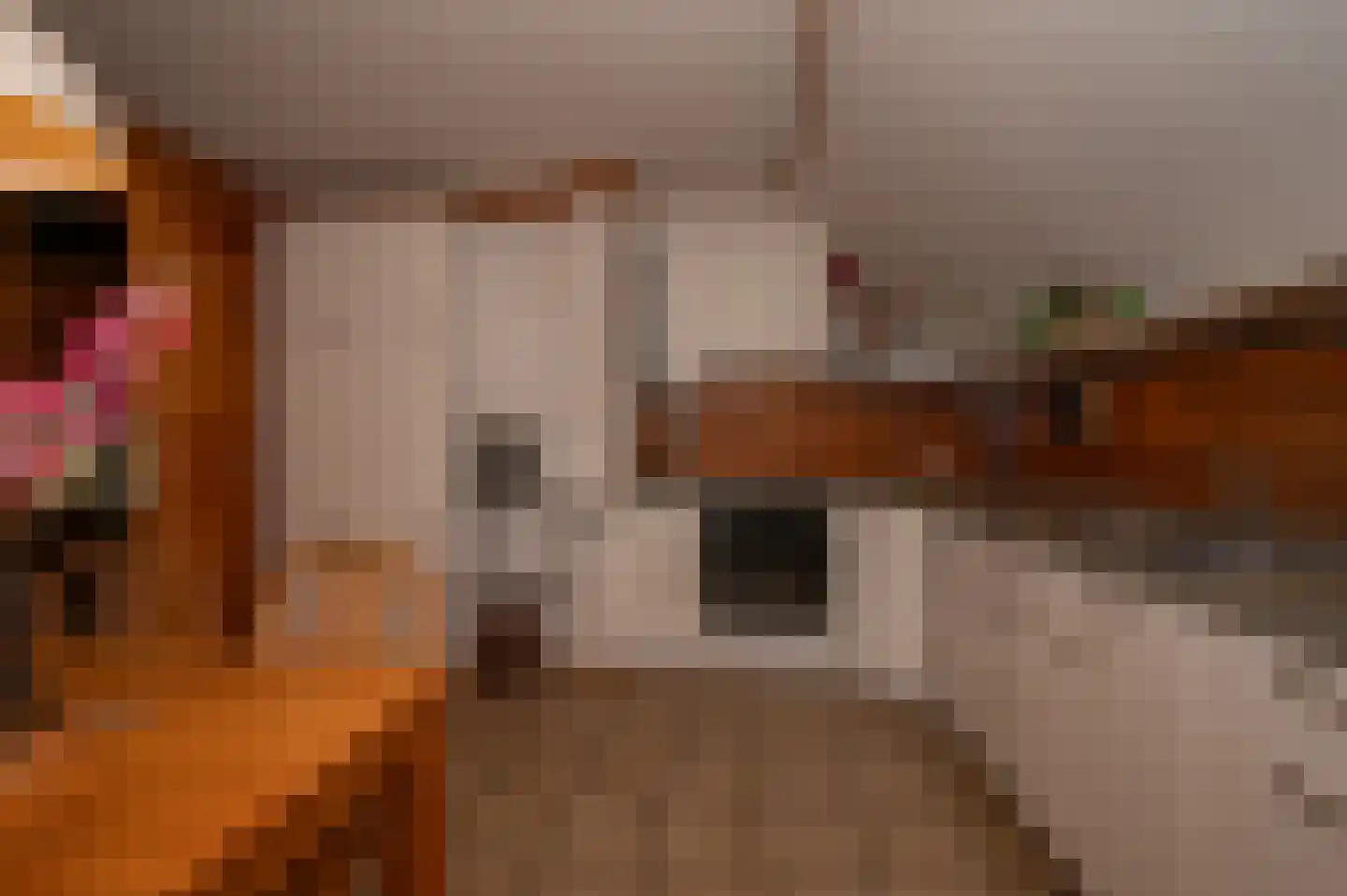 Voorweg 144 Zoetermeer thumbnail 18