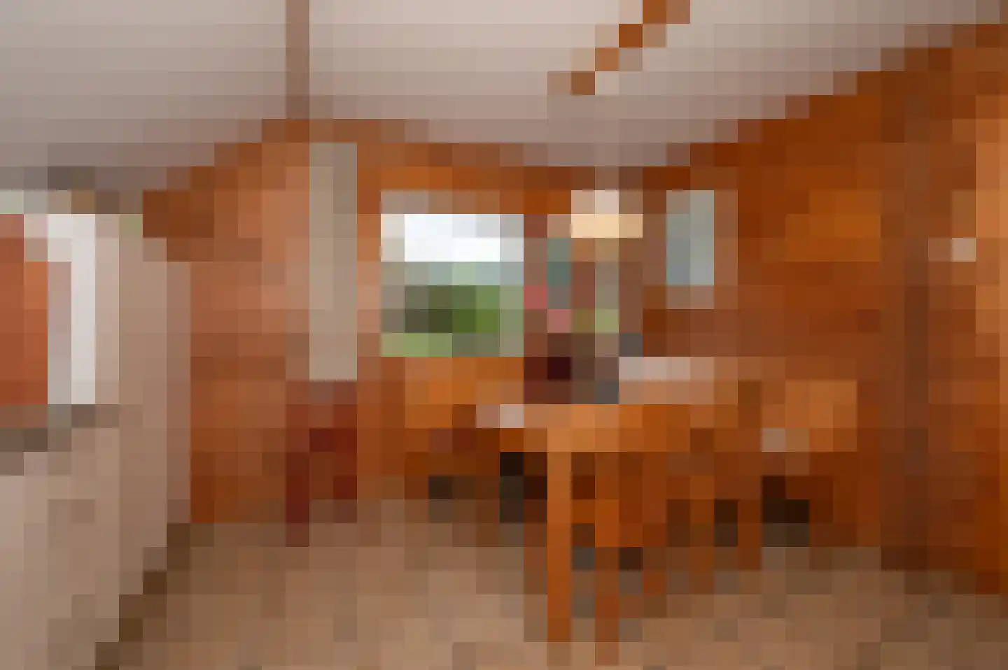 Voorweg 144 Zoetermeer thumbnail 19