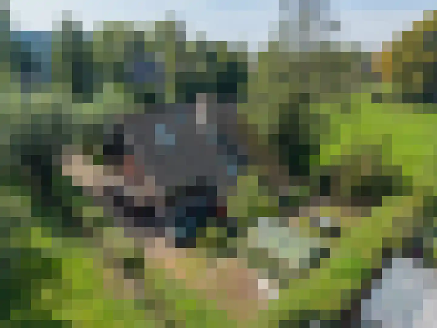 Voorweg 144 Zoetermeer thumbnail 21
