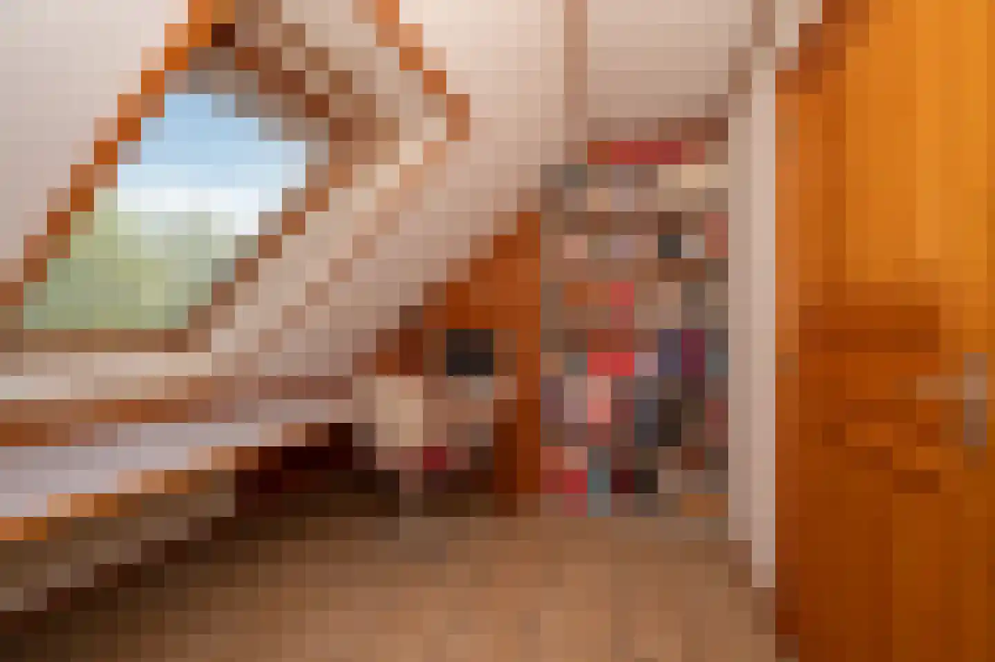 Voorweg 144 Zoetermeer thumbnail 26