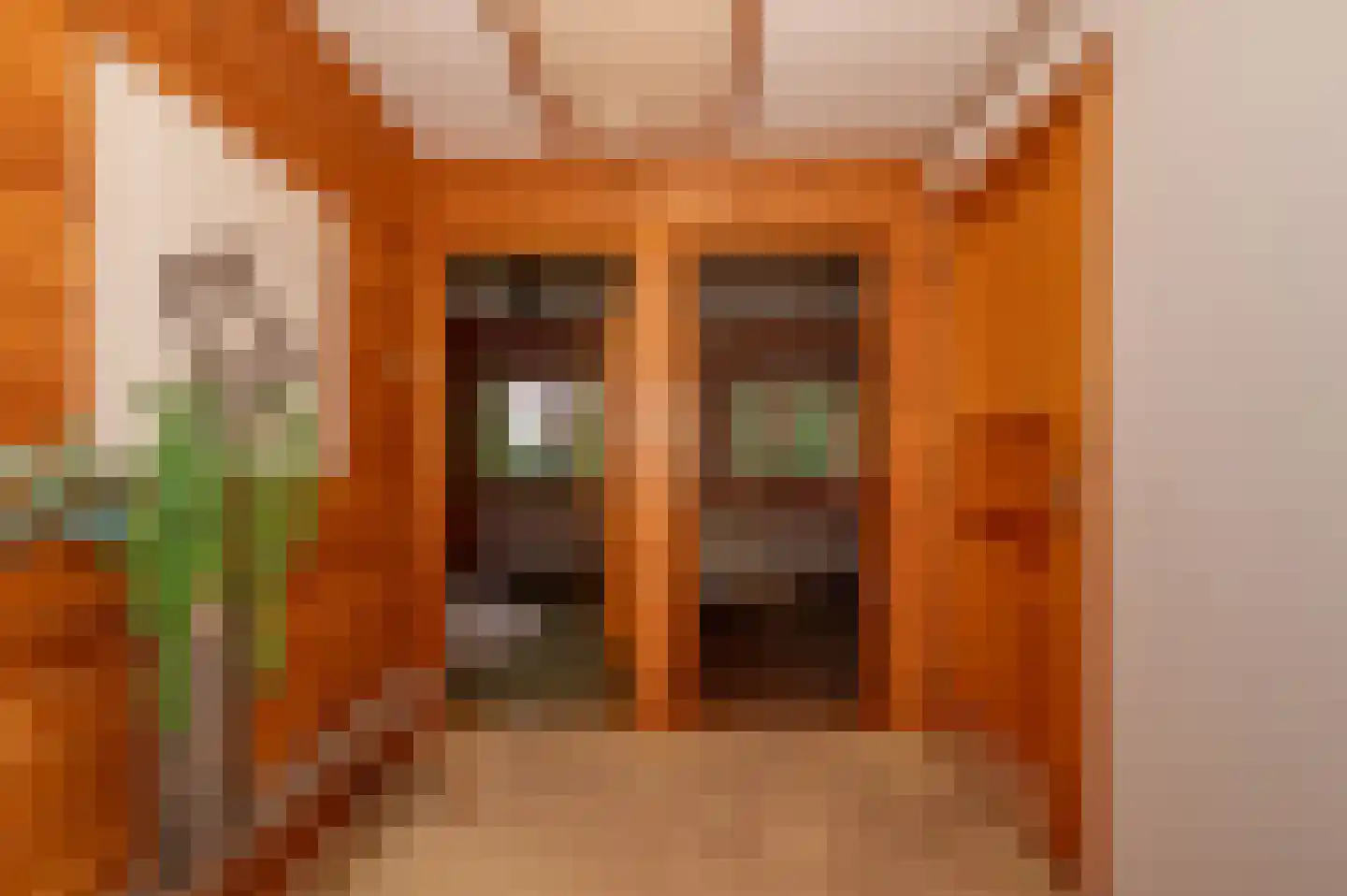 Voorweg 144 Zoetermeer thumbnail 29