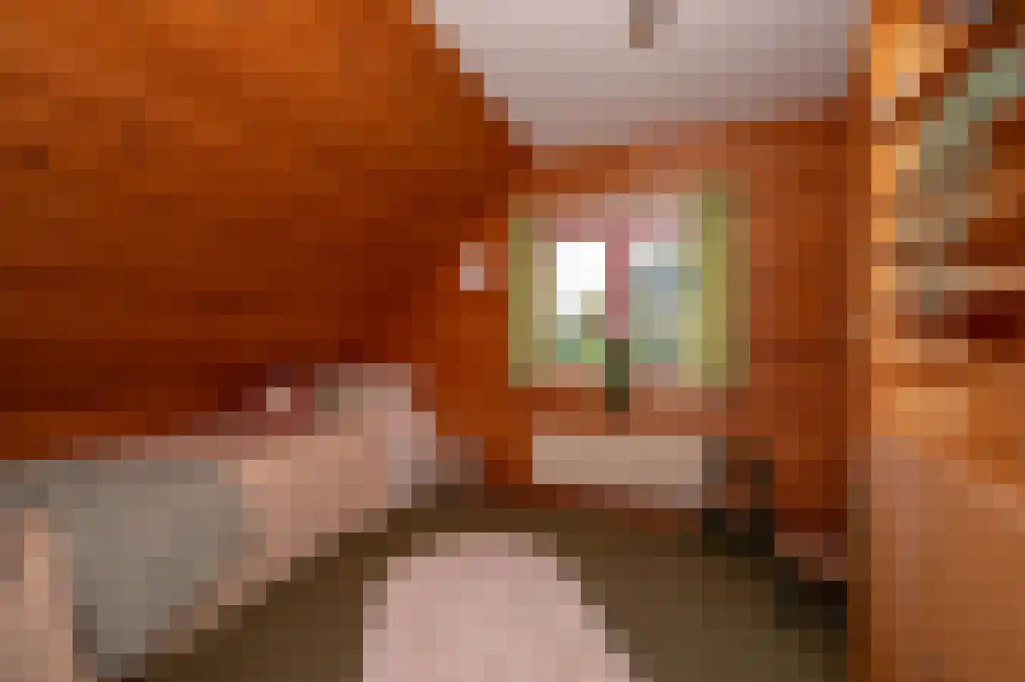 Voorweg 144 Zoetermeer thumbnail 31