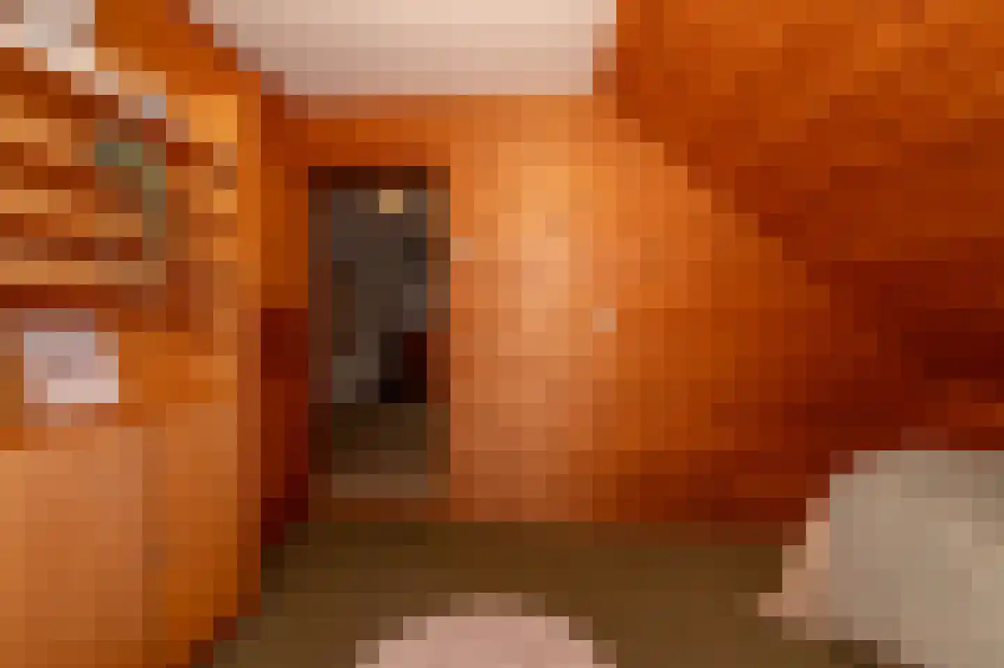 Voorweg 144 Zoetermeer thumbnail 32