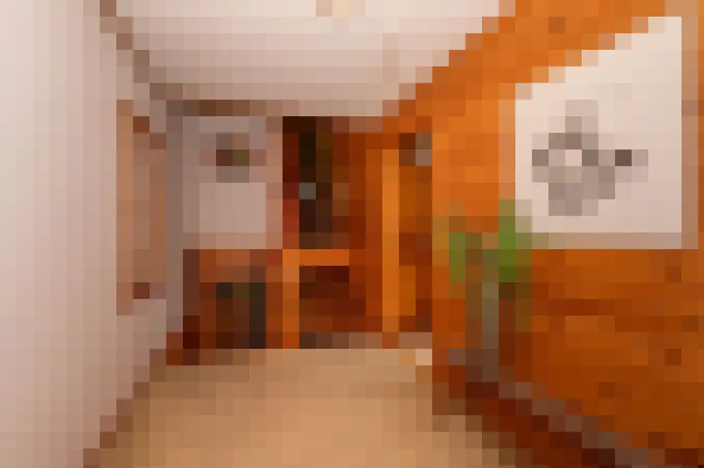 Voorweg 144 Zoetermeer thumbnail 36