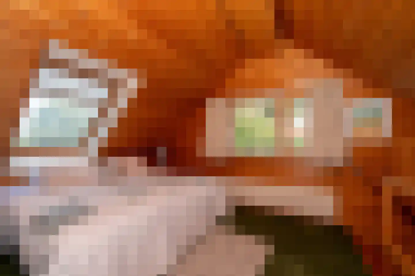 Voorweg 144 Zoetermeer thumbnail 39