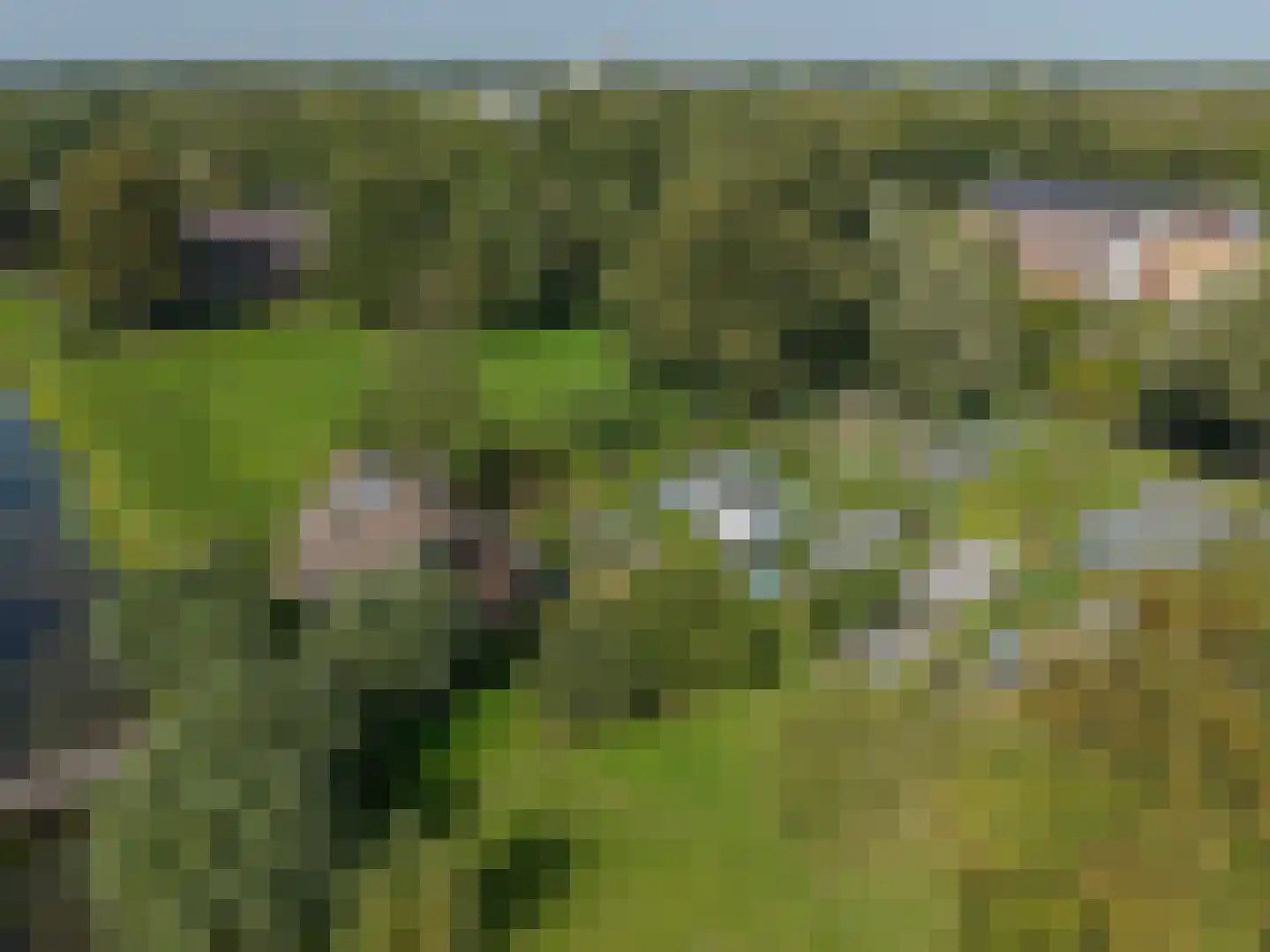 Voorweg 144 Zoetermeer thumbnail 4