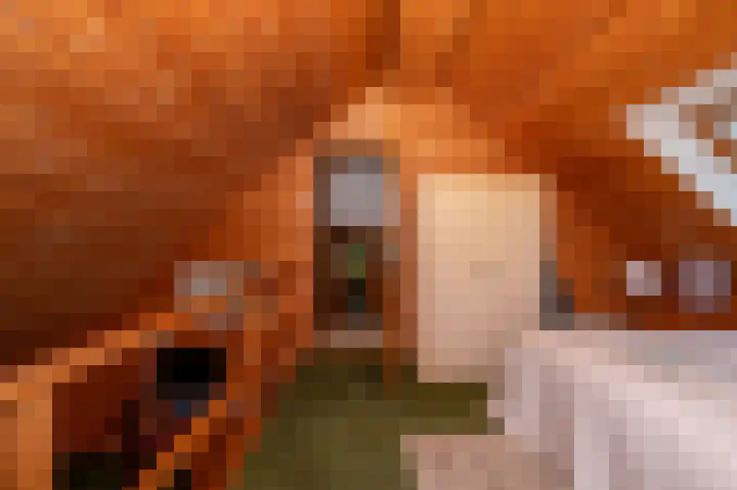 Voorweg 144 Zoetermeer thumbnail 41