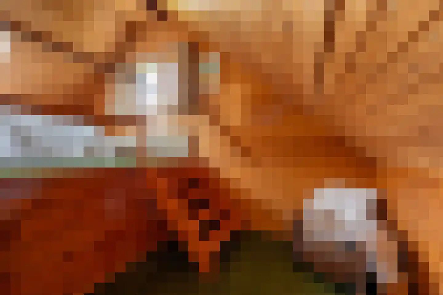 Voorweg 144 Zoetermeer thumbnail 43
