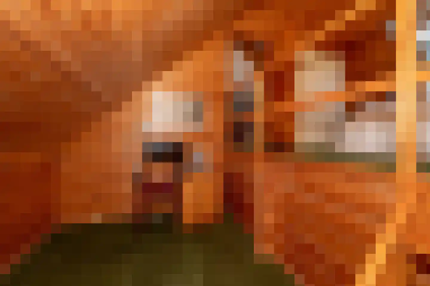 Voorweg 144 Zoetermeer thumbnail 44