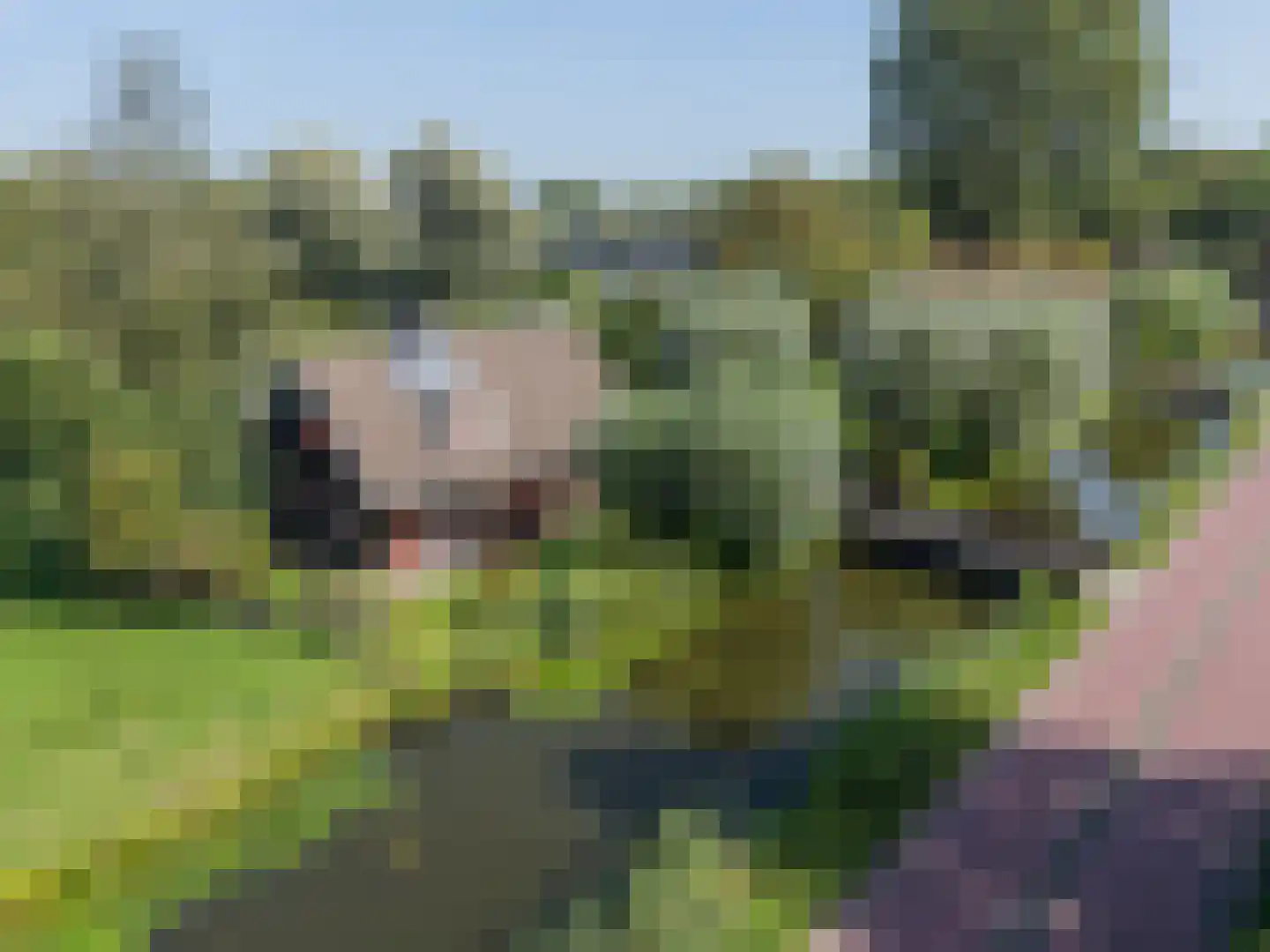 Voorweg 144 Zoetermeer thumbnail 45