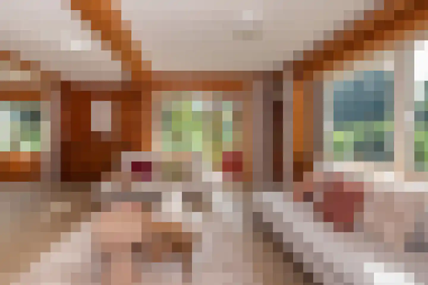 Voorweg 144 Zoetermeer thumbnail 5