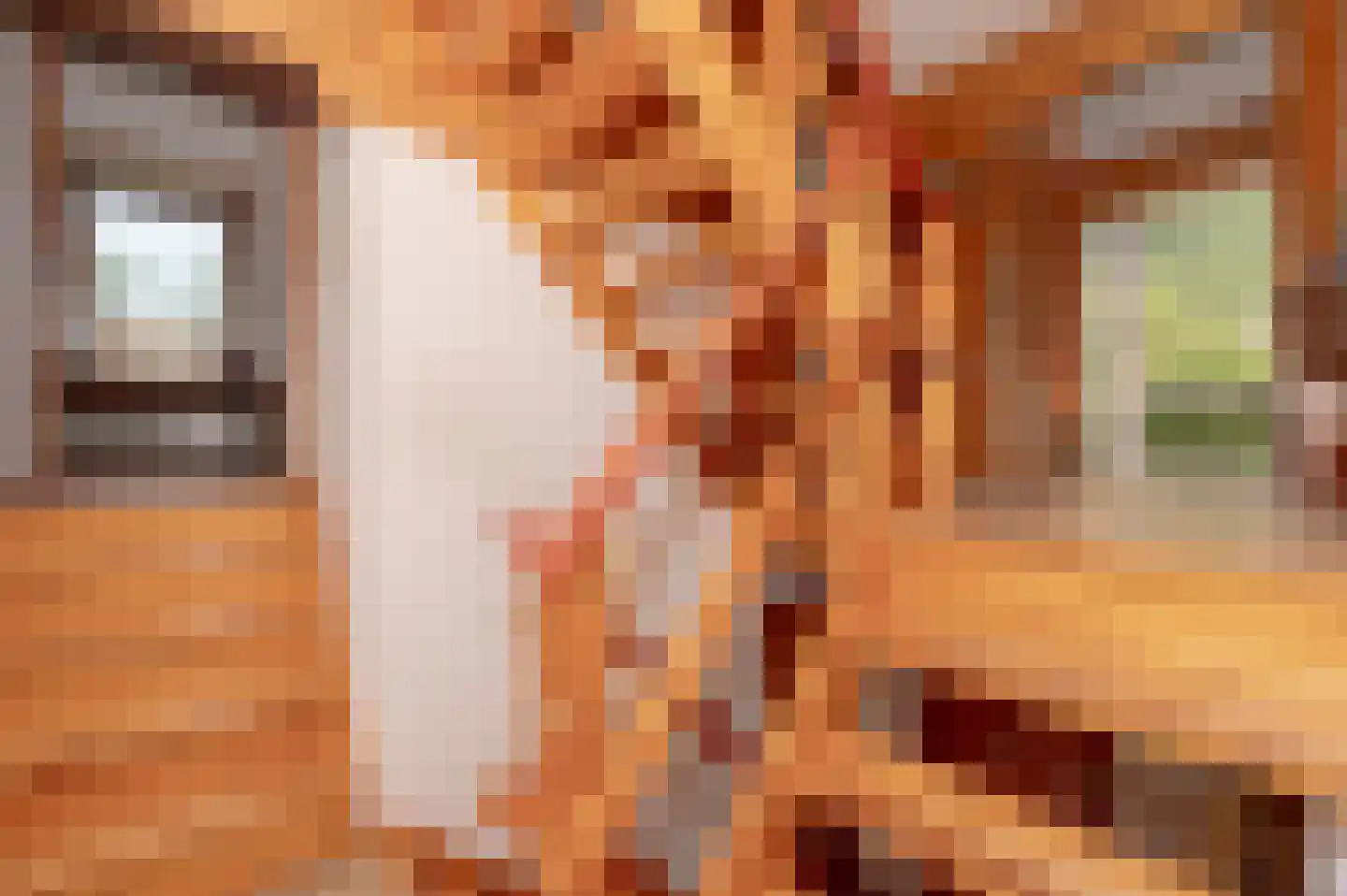 Voorweg 144 Zoetermeer thumbnail 50