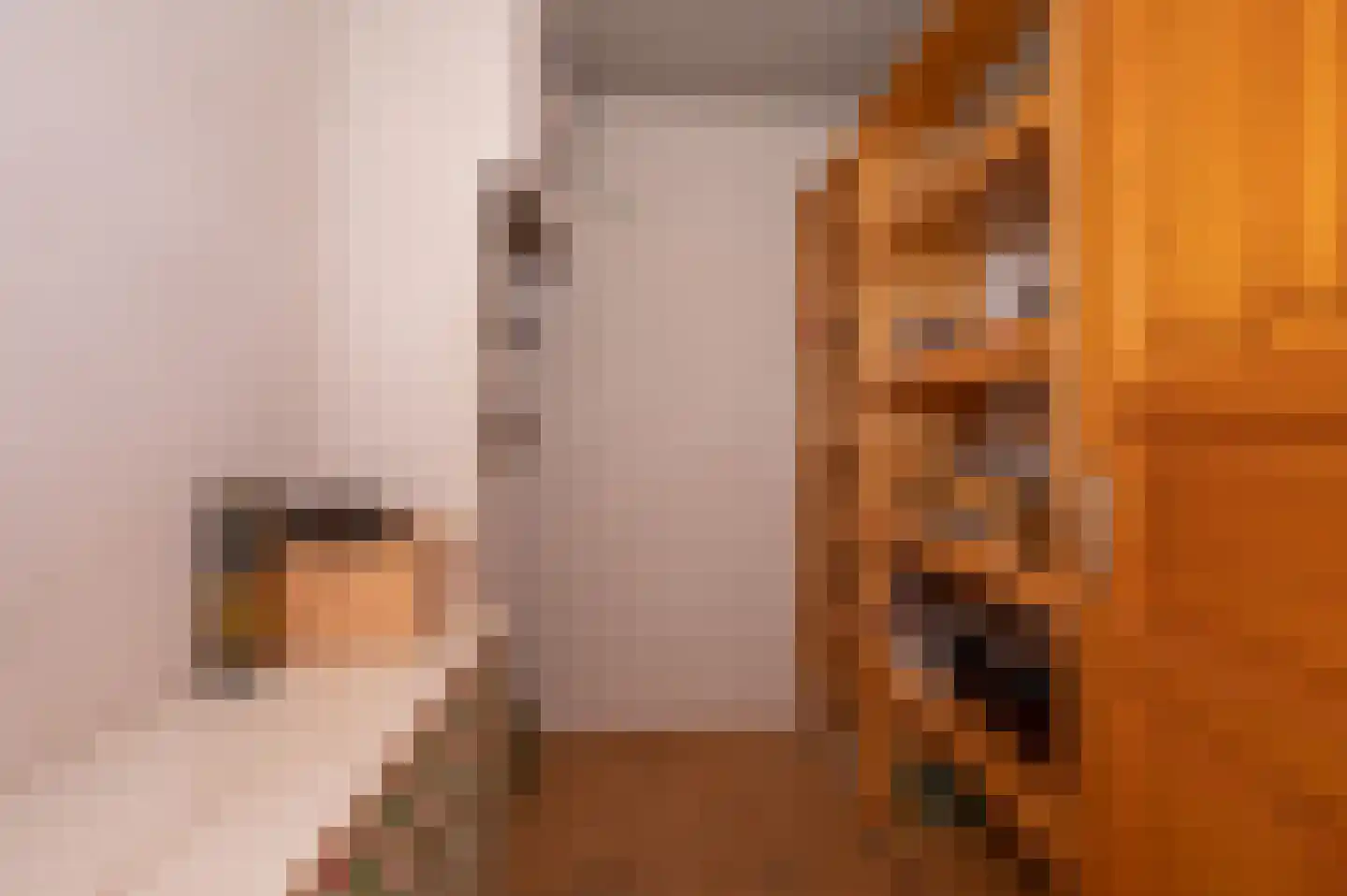 Voorweg 144 Zoetermeer thumbnail 51