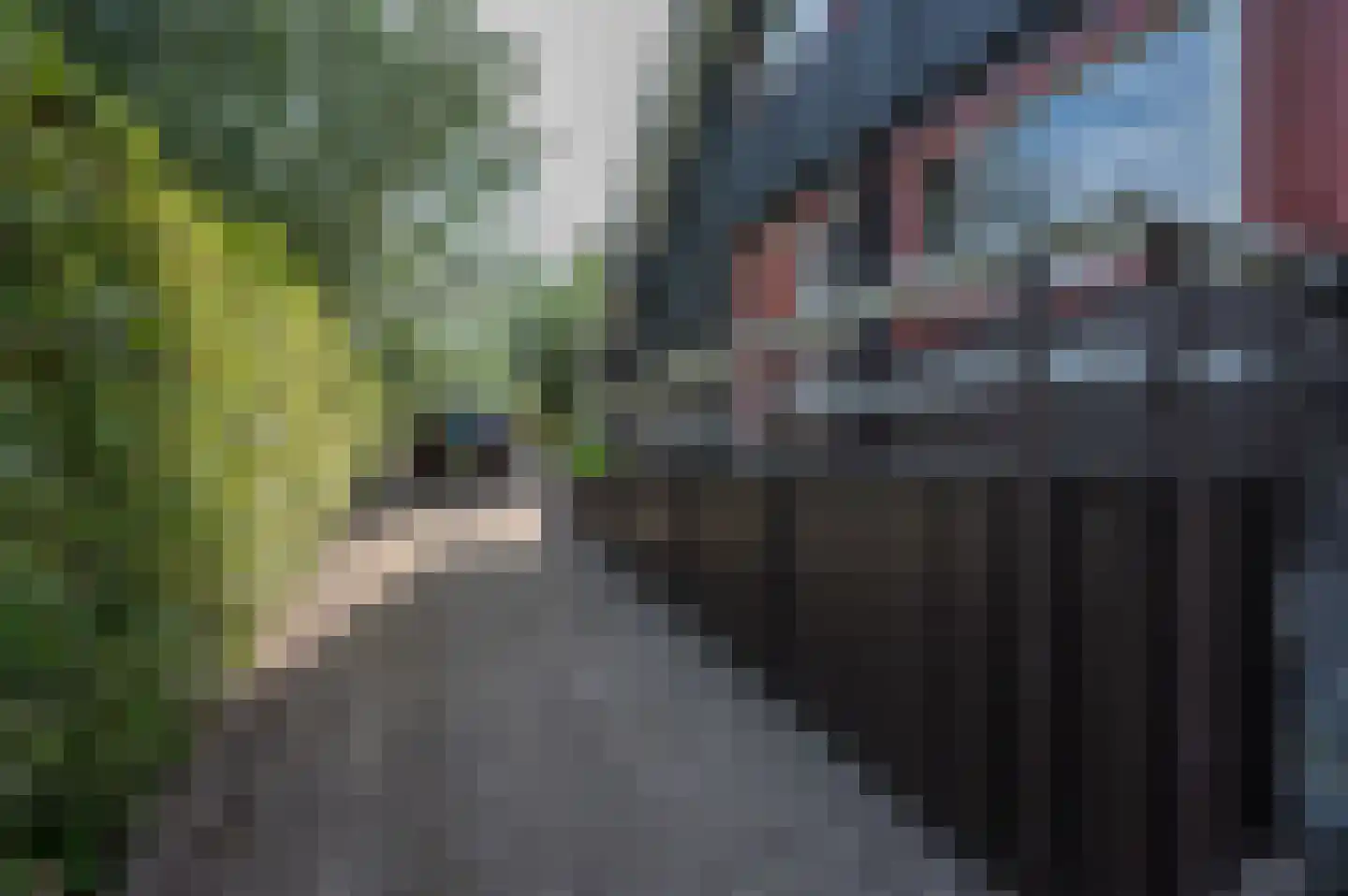 Voorweg 144 Zoetermeer thumbnail 59
