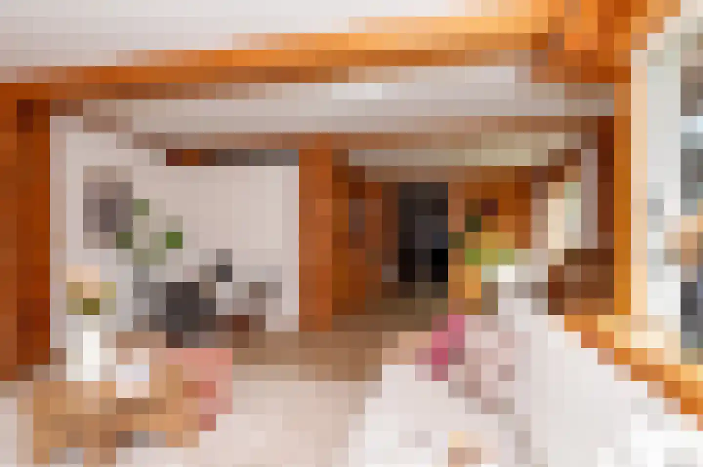 Voorweg 144 Zoetermeer thumbnail 6