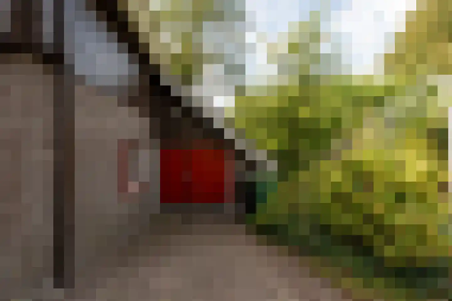 Voorweg 144 Zoetermeer thumbnail 61