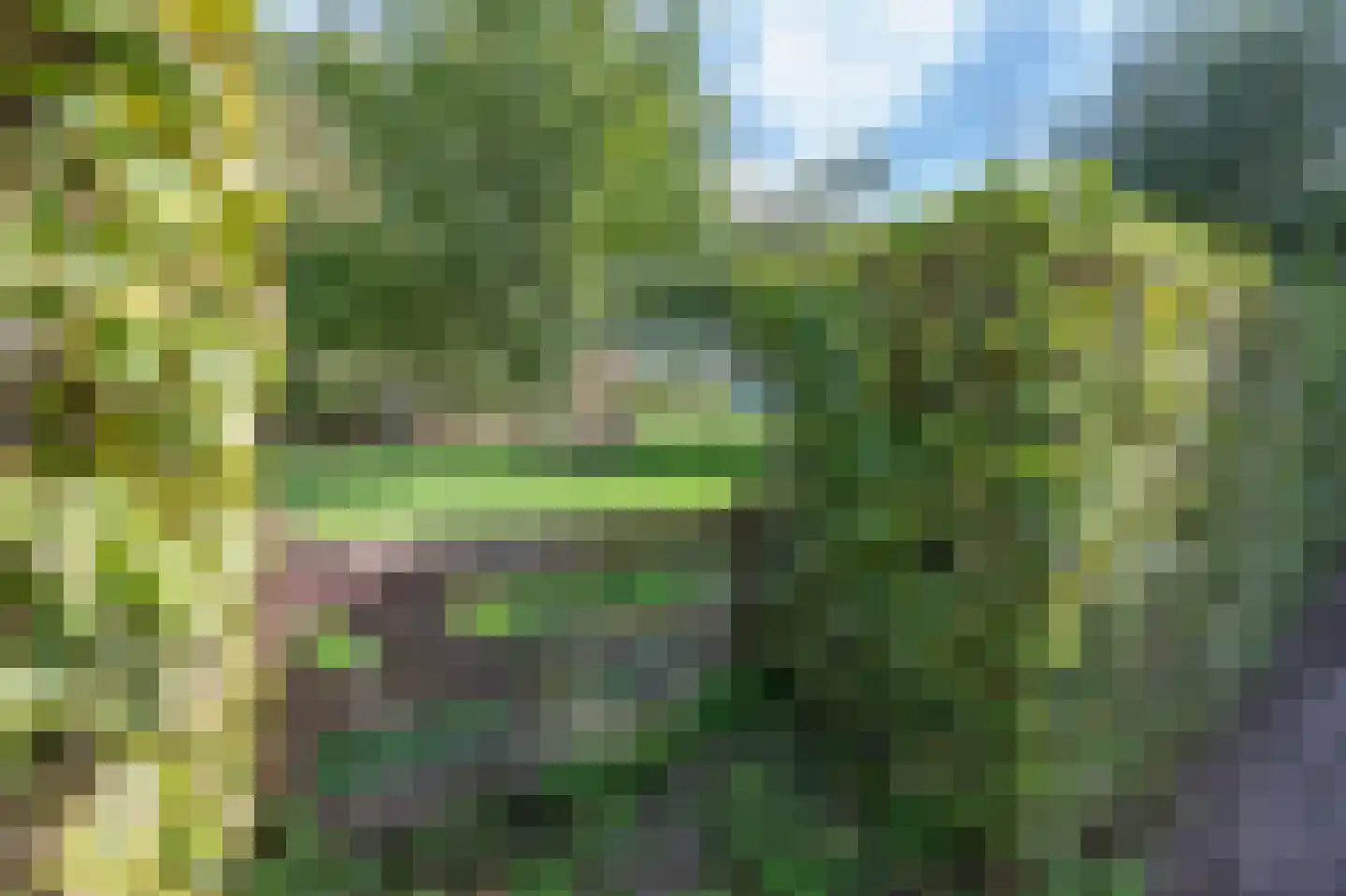 Voorweg 144 Zoetermeer thumbnail 73