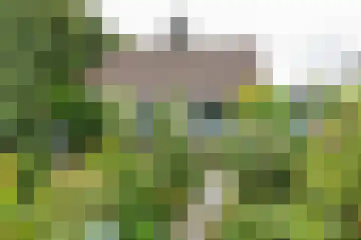 Voorweg 155 in Hazerswoude-Dorp