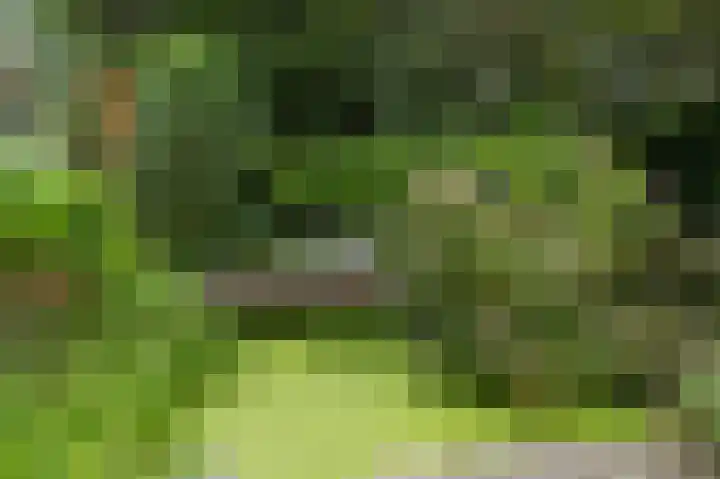 Voorweg 155 Hazerswoude-Dorp thumbnail 10
