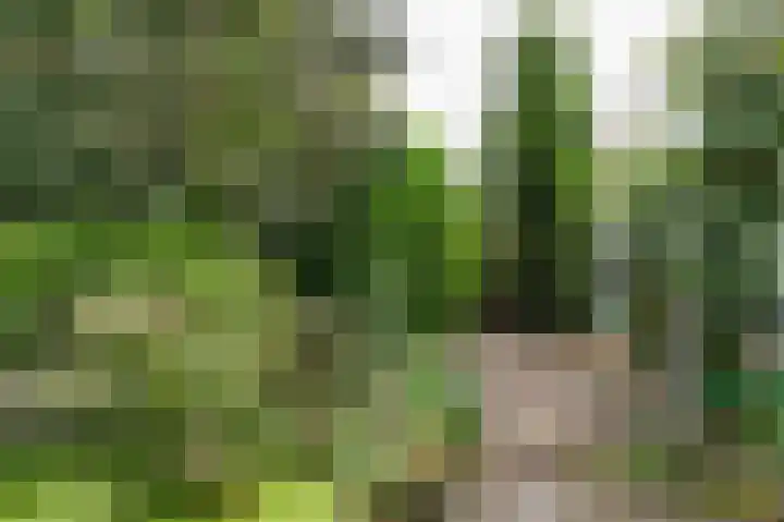 Voorweg 155 Hazerswoude-Dorp thumbnail 11