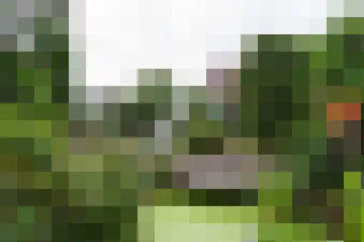 Voorweg 155 Hazerswoude-Dorp thumbnail 12