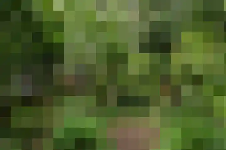 Voorweg 155 Hazerswoude-Dorp thumbnail 13