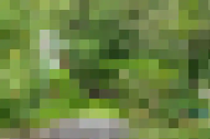 Voorweg 155 Hazerswoude-Dorp thumbnail 38
