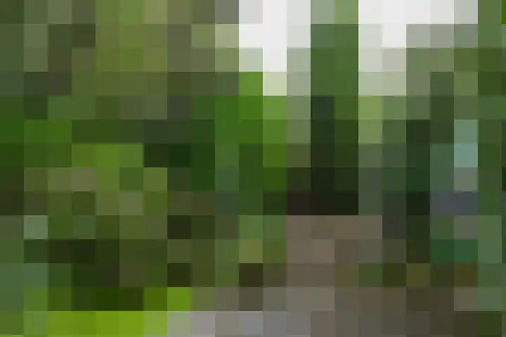 Voorweg 155 Hazerswoude-Dorp thumbnail 39