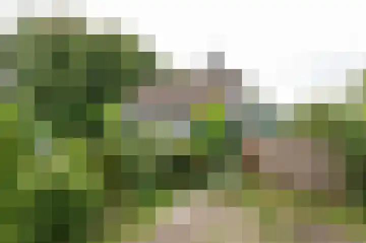 Voorweg 155 Hazerswoude-Dorp thumbnail 4