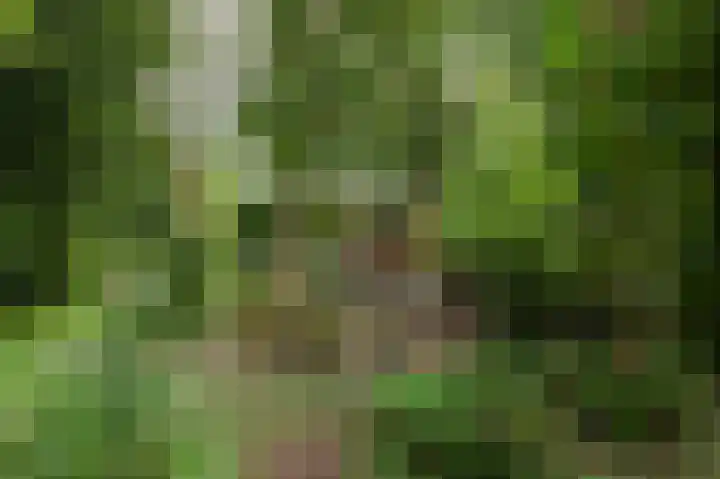 Voorweg 155 Hazerswoude-Dorp thumbnail 40