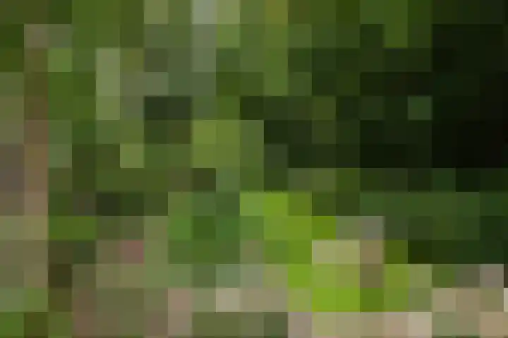 Voorweg 155 Hazerswoude-Dorp thumbnail 41
