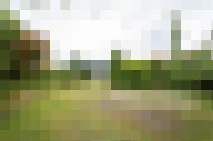Voorweg 155 Hazerswoude-Dorp thumbnail 5