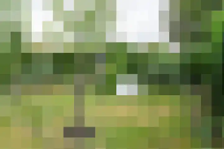 Voorweg 155 Hazerswoude-Dorp thumbnail 6