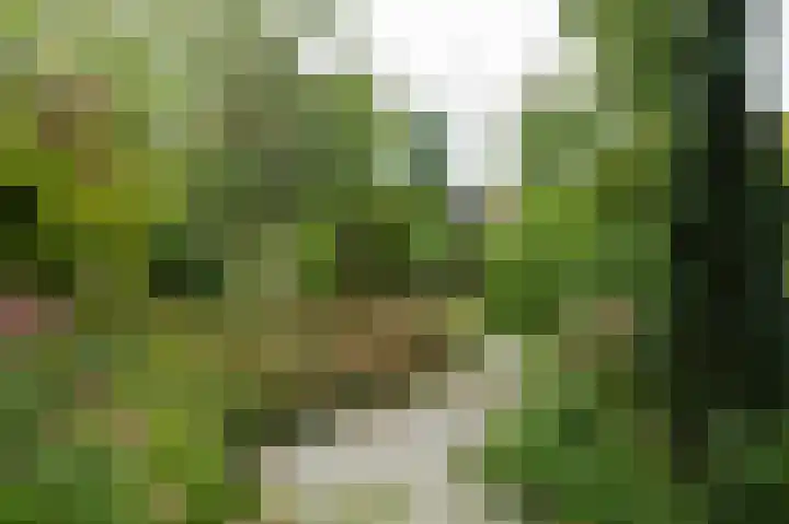 Voorweg 155 Hazerswoude-Dorp thumbnail 8