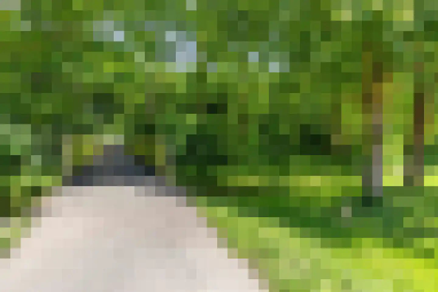 Voorweg 16 Hoogvliet Rotterdam thumbnail 33