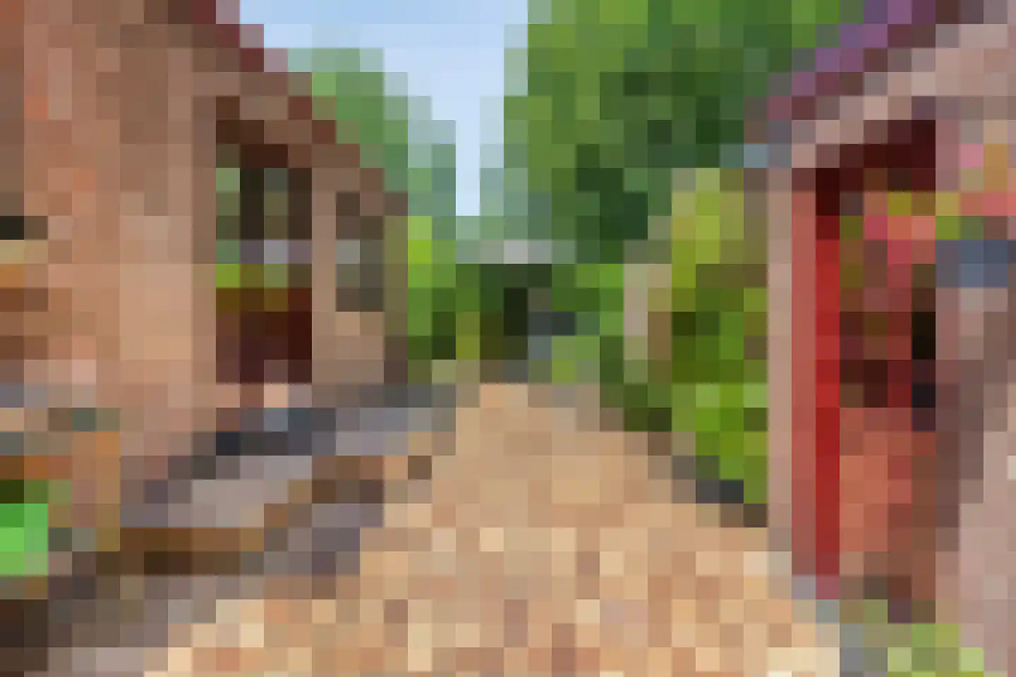 Voorweg 162 Zoetermeer thumbnail 22