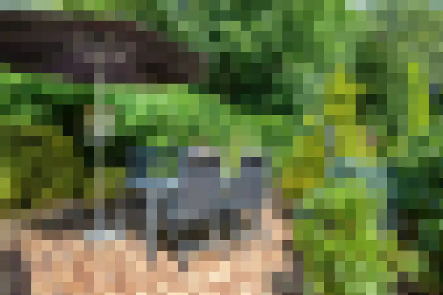 Voorweg 162 Zoetermeer thumbnail 23